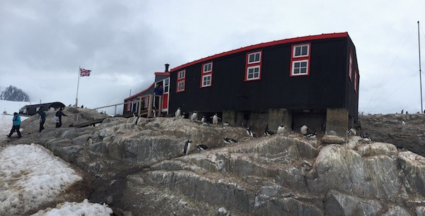We visited several research stations. This one, Port Lockroy, has since been converted into a museum about Antarctic Research.