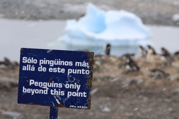 A sign that doesn't exist everywhere. It provided good guidance for us as we explored the Chilean Science Base at Paradise Bay.